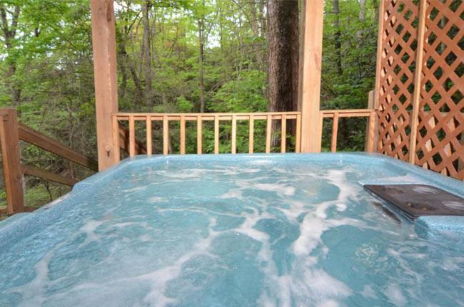 #3690 Bear Creek Lodge Hatchertown Экстерьер фото